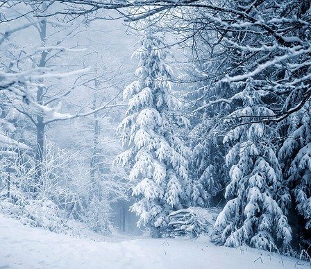 Dlaczego warto przyjechać do Międzygórza zimą?